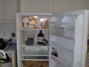 The fridgerator holds many things, including entomology evidence. They grow and kill flies at various stages to establish time of death for bodies that sit around for a while.