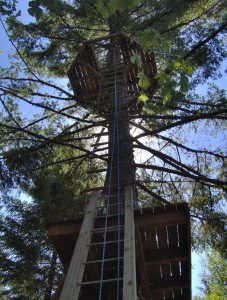 zip line ladder